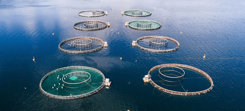Aquaculture